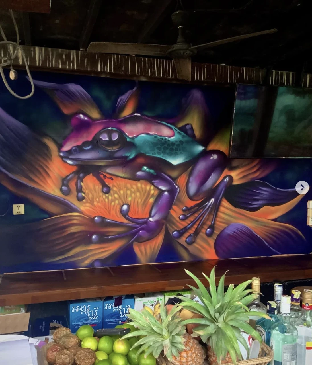 Vividly coloured tree frog mural painted at Silk Garden, Siem Reap