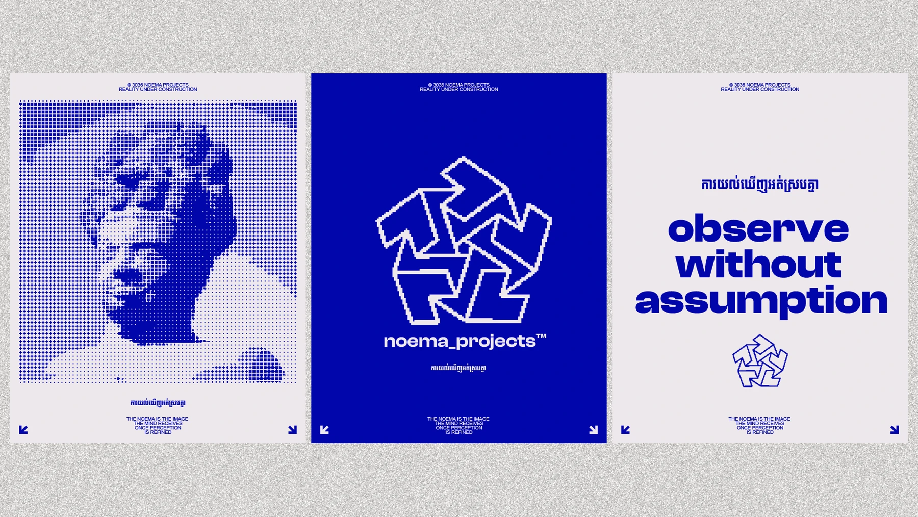 Noema Projects poster series featuring halftone portraits, brandmark and 'Observe without assumption' tagline